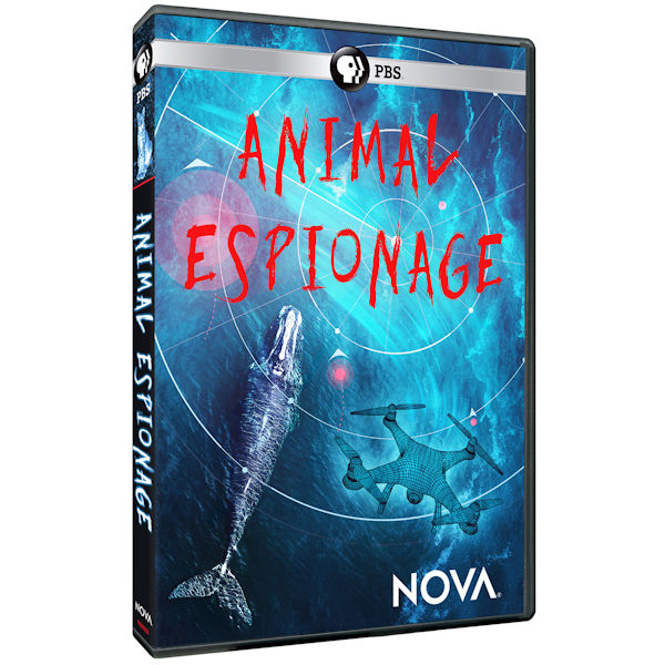 NOVA: Animal Espionage DVD