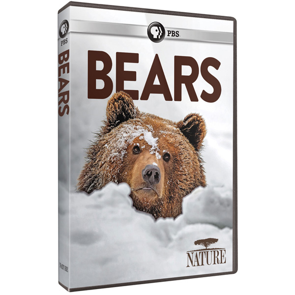 Bears DVD Cover Art