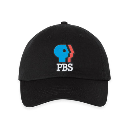 PBS 1980s Full Color Logo Dad Hat