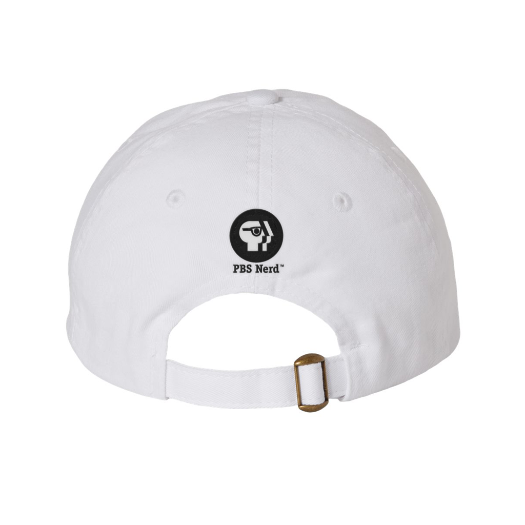 PBS Documentary Nerd Dad Hat