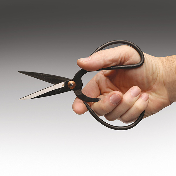 Short Blade Scissors - SCI-456.00