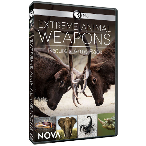NOVA: Extreme Animal Weapons DVD 
