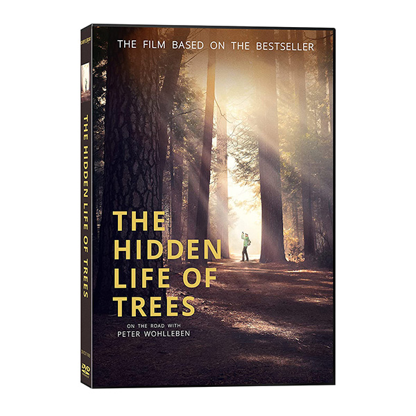 the hidden life of trees 2020