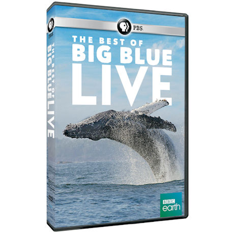 The Best of Big Blue Live DVD
