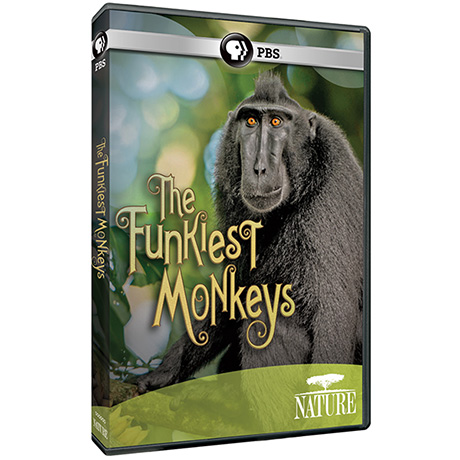 NATURE: The Funkiest Monkeys DVD - AV Item