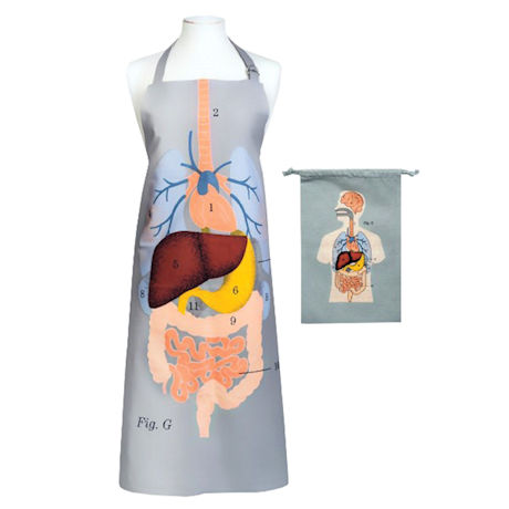 Anatomical Kitchenware Collection - Apron