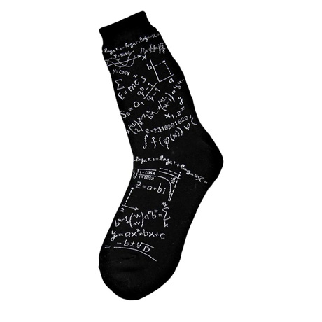 Math Genius Men's Socks