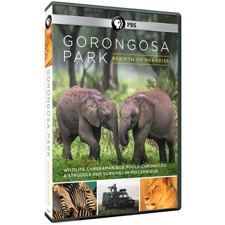Gorongosa Park Rebirth of Paradise DVD