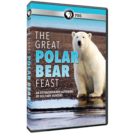 The Great Polar Bear Feast DVD - AV Item