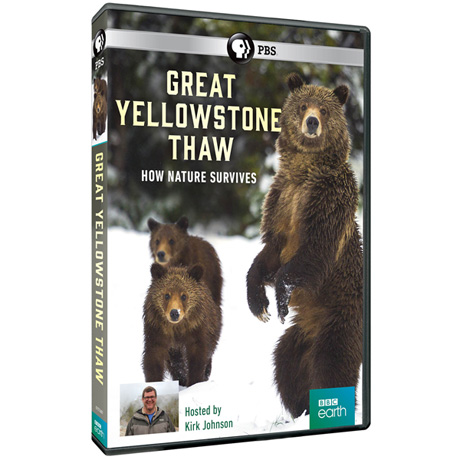 Great Yellowstone Thaw: How Nature Survives DVD - AV Item