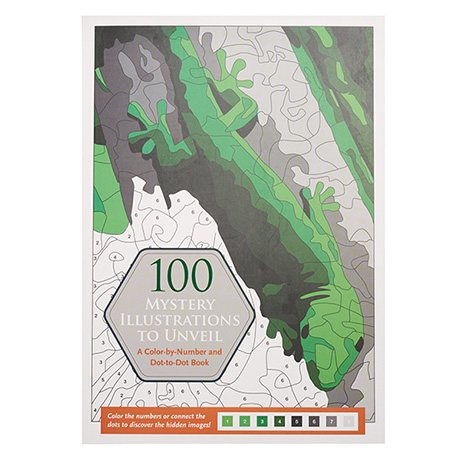 100 Mystery Illustrations to Unveil Book (Paperback)