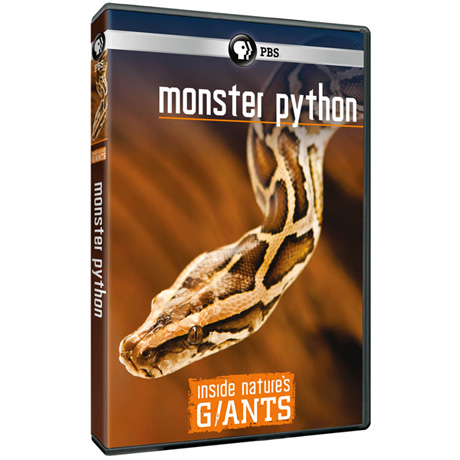 Inside Nature's Giants: Monster Python DVD
