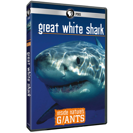 Inside Nature's Giants: Great White Sharks DVD