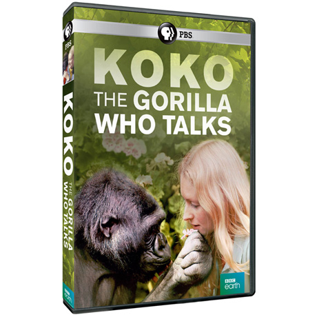 Koko: The Gorilla Who Talks DVD - AV Item