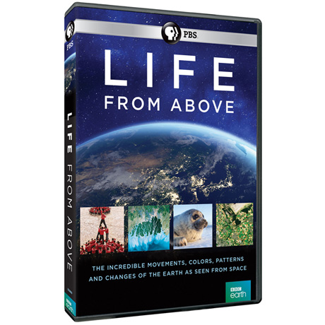 Life From Above DVD