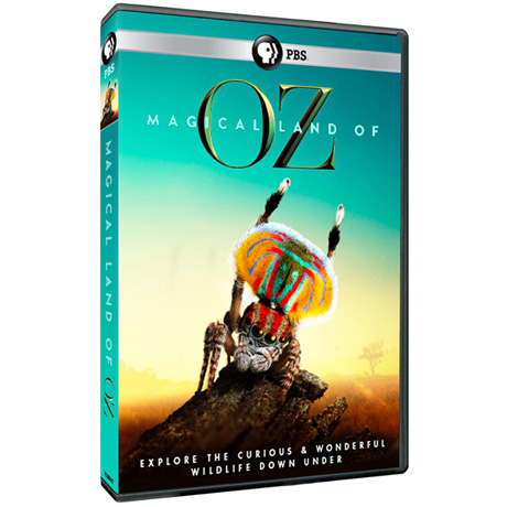 Magical Land of Oz DVD