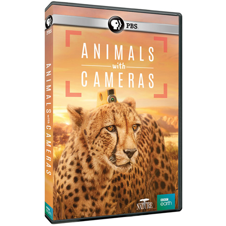 NATURE: Animals With Cameras DVD - AV Item