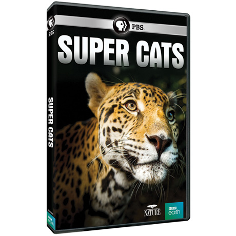 NATURE: Super Cats DVD & Blu-ray - AV Item
