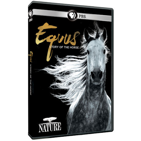 NATURE: Equus: Story of the Horse DVD - AV Item