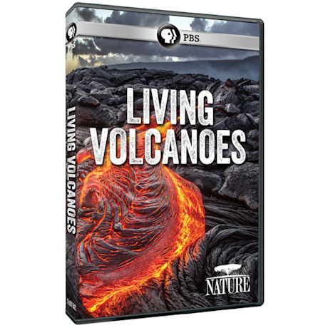NATURE: Living Volcanoes DVD - AV Item