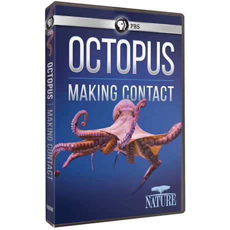 NATURE: Octopus: Making Contact DVD - AV Item