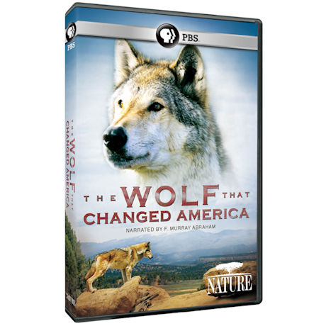 NATURE: The Wolf That Changed America (2016) DVD