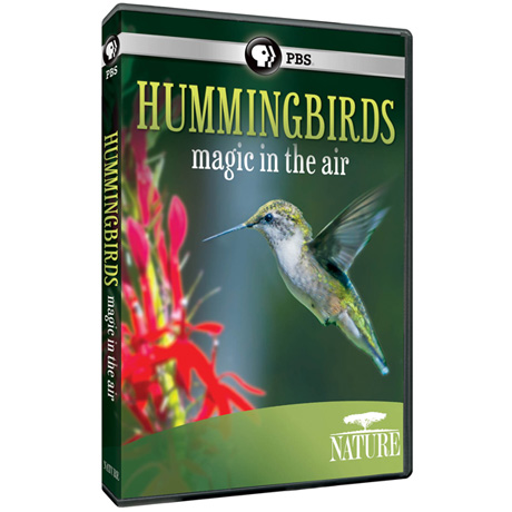 NATURE: Hummingbirds (2014) DVD & Blu-ray
