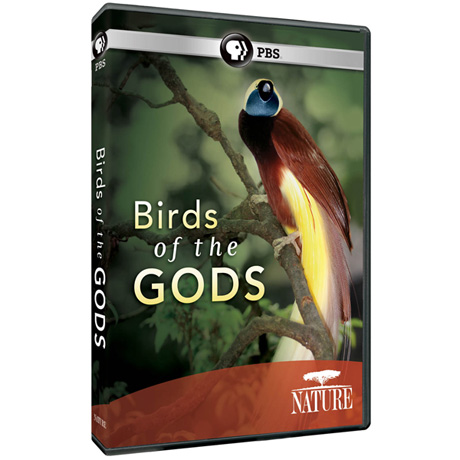 NATURE: Birds of the Gods DVD - AV Item
