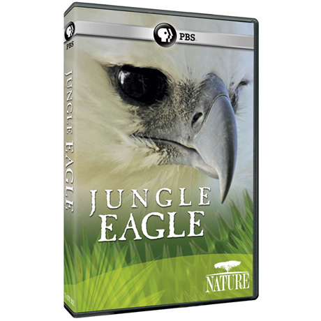 NATURE: Jungle Eagle DVD - AV Item