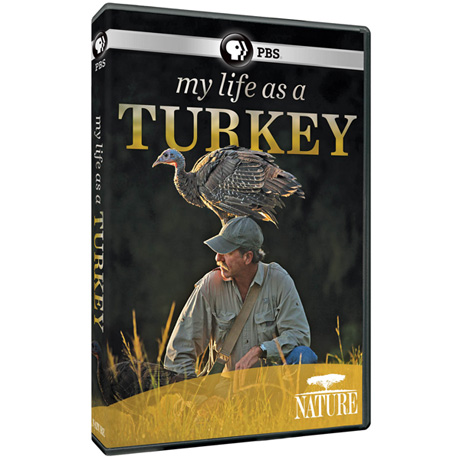 NATURE: My Life as a Turkey DVD - AV Item