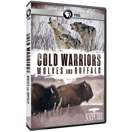 NATURE: Cold Warriors: Wolves and Buffalo DVD