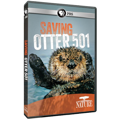 NATURE: Saving Otter 501 DVD