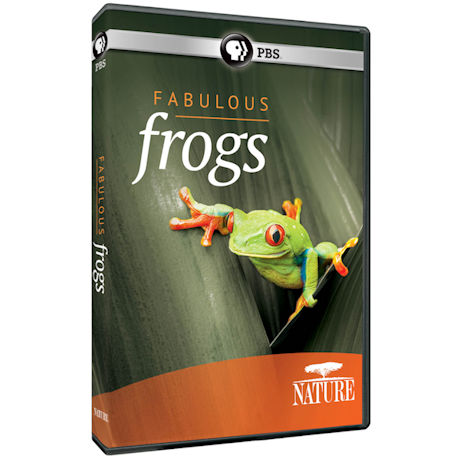 NATURE: Fabulous Frogs DVD