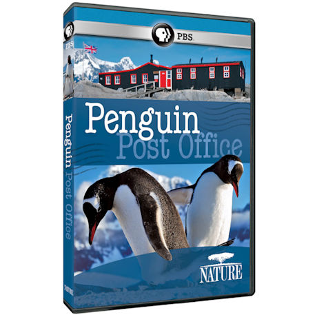 NATURE: Penguin Post Office DVD