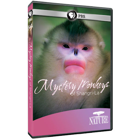 NATURE: Mystery Monkeys of Shangri-La DVD
