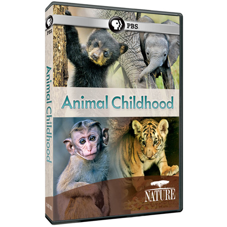 NATURE: Animal Childhood DVD - AV Item