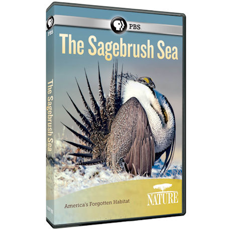 NATURE: The Sagebrush Sea DVD - AV Item