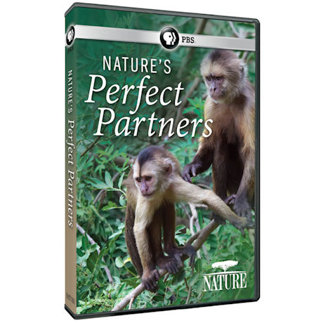 NATURE: Nature's Perfect Partners DVD - AV Item
