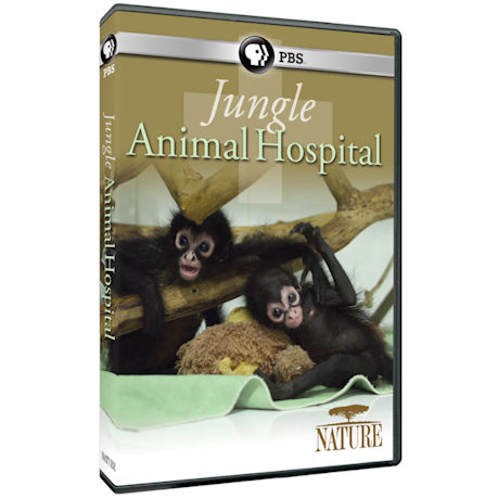 NATURE: Jungle Animal Hospital DVD - AV Item