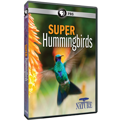 NATURE: Super Hummingbirds DVD & Blu-ray