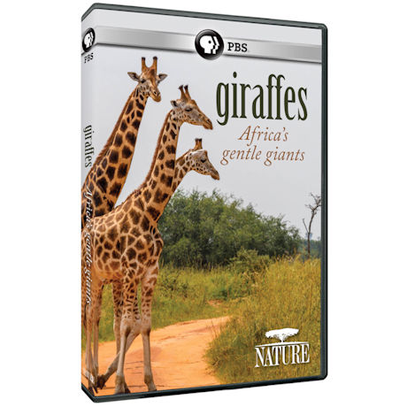 NATURE: Giraffes: Africa's Gentle Giants DVD