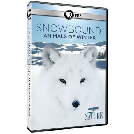 Nature: Snowbound: Animals of Winter DVD