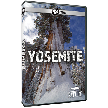 NATURE: Yosemite DVD & Blu-ray