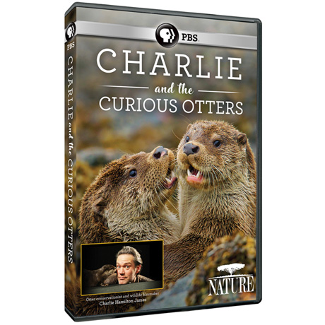 NATURE: Charlie and the Curious Otters DVD