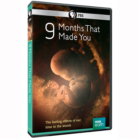 9 Months That Made You DVD - AV Item