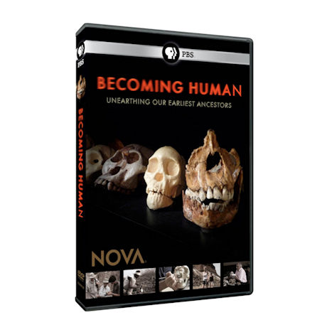 NOVA: Becoming Human Unearthing Our Earliest Ancestors DVD - AV Item