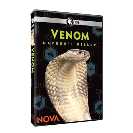 NOVA: Venom: Nature's Killer DVD