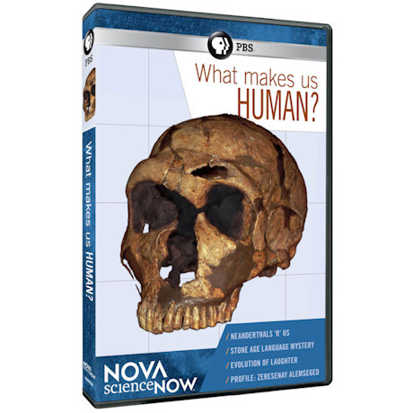 NOVA scienceNOW: What Makes Us Human?  DVD