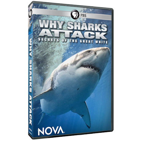 NOVA: Why Sharks Attack DVD