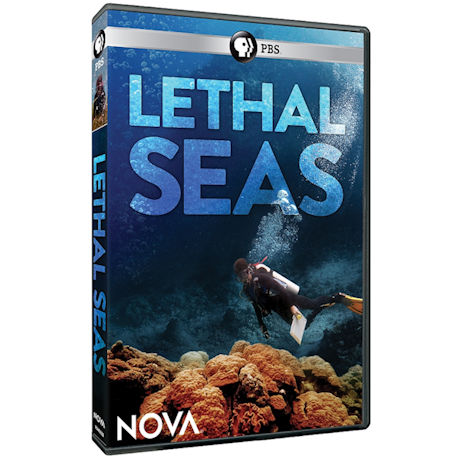 NOVA: Lethal Seas DVD - AV Item